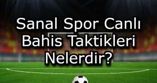sanal spor