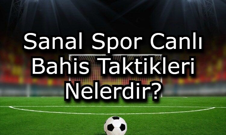 sanal spor